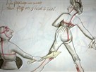 Battle of the Sexes