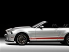 Editor Spotlight: 2011 Ford Shelby GT500 @ 2010 Chicago Auto Show