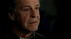 Fringe: Guardians