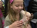 NBC Nightly News with Brian Williams - Rudolph the Dog Leads Way to Learning