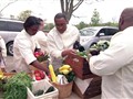 Farm Policy