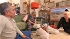 Dog Whisperer: Spiritual Lessons from a Dog