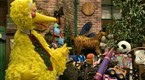 Sesame Street: All I Want for Christmas