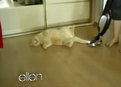 play video on Hulu