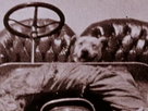 Horatio's Drive: America's First Road Trip