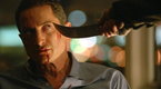 Thanks from Sasha Roiz!