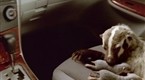 Toyota: Living the Dream with Badgers