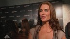 Red Carpet at the Lipstick Jungle NY Premiere