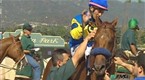 TVG: Horse Valet