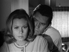 Bewitched | Season 1 Episode 32 | Illegal Separation