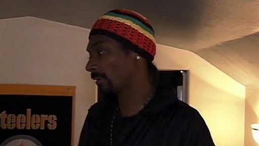 In the Dogg House
