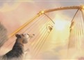 Squirrel Versus Heaven picture