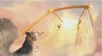 Squirrel Versus Heaven
