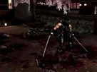 Ninja Gaiden II: Whirlwind of Pain
