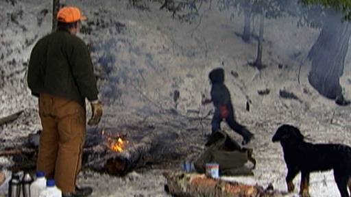 play video on Hulu