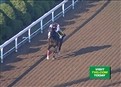 play video on Hulu