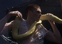 A Snake Of A Partner picture