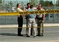 Vegas Homicide: Death in the Desert picture