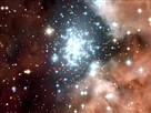 Inside a Galactic Mob Scene