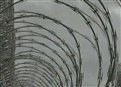 The Inmate Diaries picture