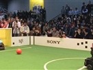 Robot Soccer