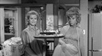 Bewitched: A Is For Aardvark (season 1, episode 17)