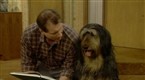 Married...With Children: Buck the Stud (season 5, episode 25)
