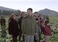 The American Dream picture