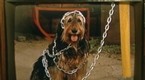 Married...With Children: Field of Screams (season 8, episode 19)