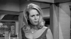 Bewitched: Man's Best Friend (season 2, episode 34)