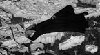Bewitched: The Catnapper (season 2, episode 35)