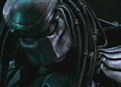 Predator Pwns Alien picture