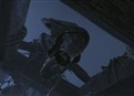 Mother of a Boss Fight picture