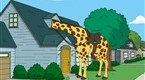 Family Guy: It's a Giraffe