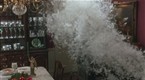 Home Alone: Feathered