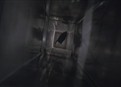 Iron