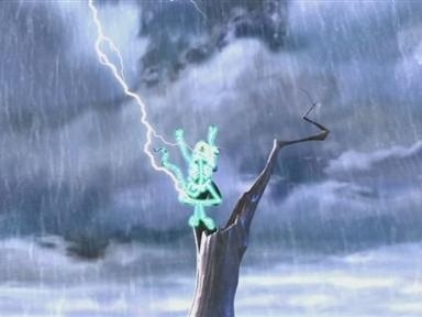 Nut In The Rain