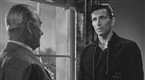 The Day the Earth Stood Still: Stupidity