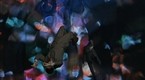 The Time Tunnel: Devil's Island (season 1, episode 9)