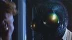 The Fly: Failed Transport