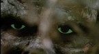 Swamp Thing: The Hunt (season 1, episode 19)