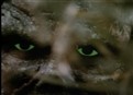 The Hunt picture