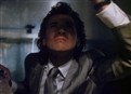 Falco picture