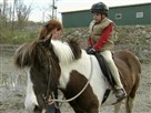 Elmo's World: Horses
