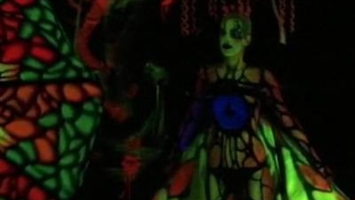 Austria Hosts World Bodypainting Championships
