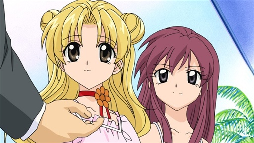 The Rival Appears