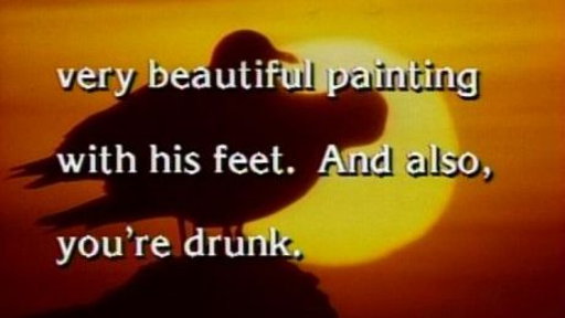 Deep Thoughts: Flamingo Video