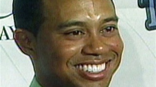 Tiger Woods Apology Panel