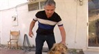 Dog Whisperer: Pekaso and Yogi &amp; Smokey (season 6, episode 3)