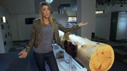 Grace Helbig Checks Out the Wired Store Video